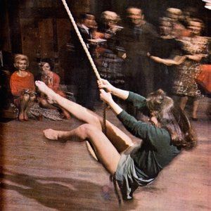 Meet your Posher, Marjorie